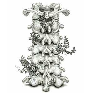 女贝网打屁股漫画丨vk
