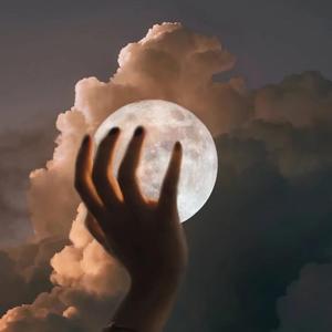 女贝网打屁股漫画丨vk
